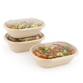 Plastic Lid PET for Container 19x15cm (50 Units) 