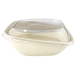 Sugarcane Container "Vision" 750ml 19x19x7cm (300 Units)