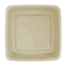 Sugarcane Container 1400ml 23x23x4cm (300 Units)