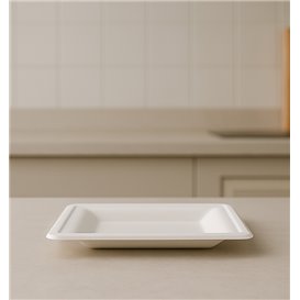 Sugarcane Plate Square shape White 20x20 cm (50 Units) 