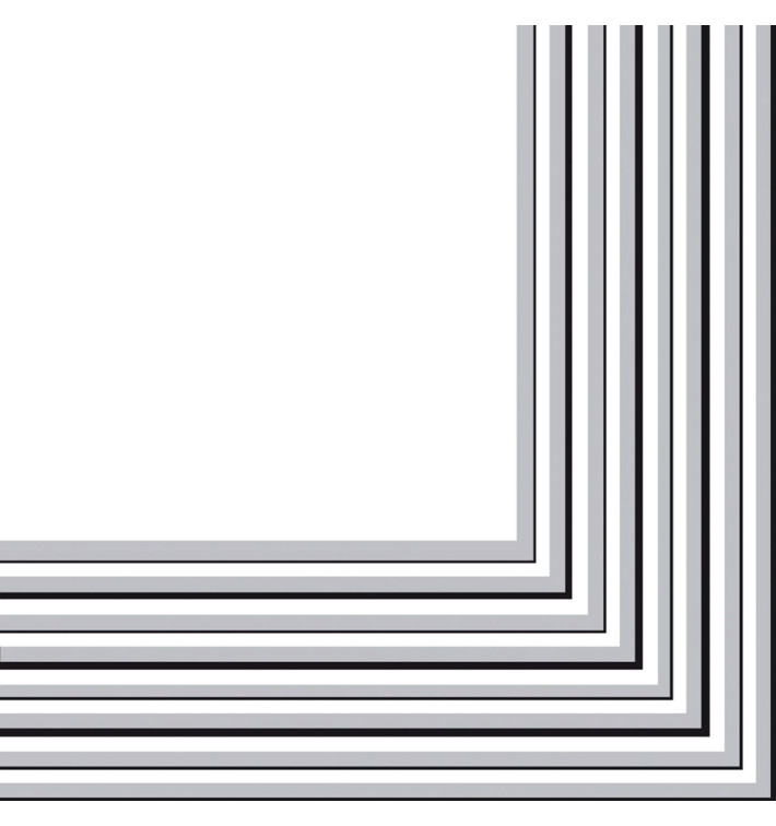 Paper Napkin 2 Layers Silver 33x33 cm (20 Units) 