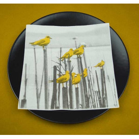 Airlaid Napkins "Albufera" 40x40cm (50 Units) 
