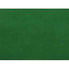 Airlaid Placemat Green 30x40cm (500 Units)  