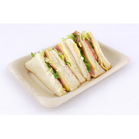 Sugarcane Baguette Container 20x14cm (50 Units) 