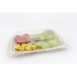 Sugarcane Baguette Container 20x14cm (50 Units) 
