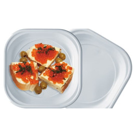 Plastic Plate PS PS Square shape White 20x20 cm (1000 Units)