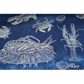 Novotex Tablecloth Roll Blue "Marisco" P40cm 1,2x50m  (1 Unit)