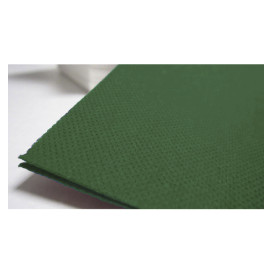 Paper Napkin Double Point Green 40x40cm (50 Units) 
