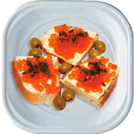 Plastic Plate PS PS Square shape White 20x20 cm (1000 Units)
