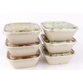 Plastic Lid PP Clear for Bowl 17x17cm (50 Units)