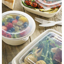 Plastic Lid PP Clear for Bowl 500ml Ø15cm (500 Units)