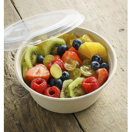 Plastic Lid PP Clear for Bowl 500ml Ø15cm (500 Units)