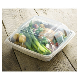 Plastic Dome Lid PP for Container 23x23cm (300 Units)