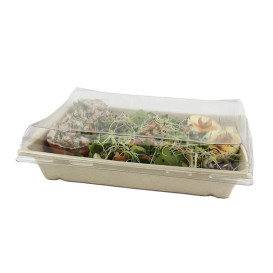 Sugarcane Tray with Lid 750ml 22x16x6cm (15 Units) 