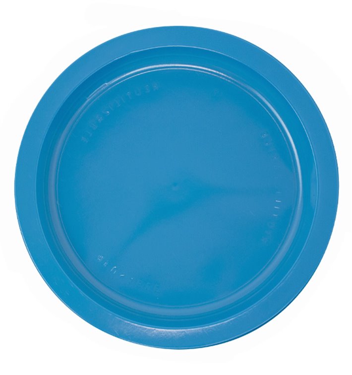 Plastic Plate PS Flat Dark Blue Ø22 cm (30 Units) 