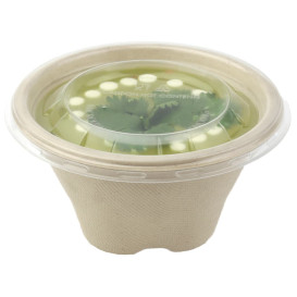 Sugarcane Bowl 375ml Ø13cm (100 Units)  