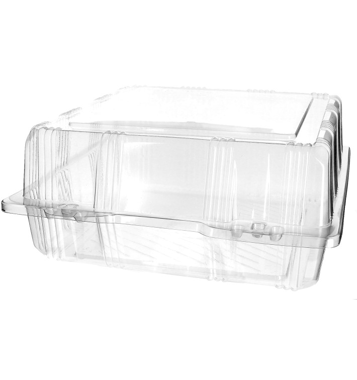 Plastic Hinged Bakery Container PET 22x22x10cm (20 Units) 