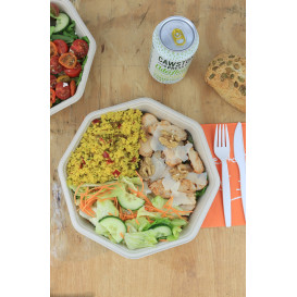 Sugarcane Container 830ml 23x23x3cm (50 Units) 