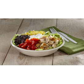 Sugarcane Bowl 750ml Ø21x4cm (75 Units)  