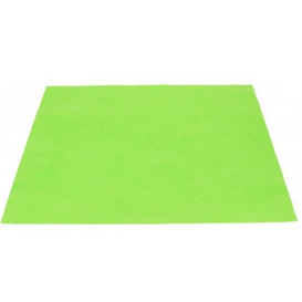 Novotex Placemat Pistachio 50g 35x50cm (500 Units)  
