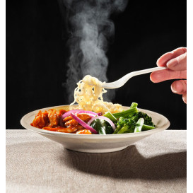 Sugarcane Bowl Bagasse Noodle Natural 710ml (400 Units)