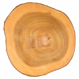 Wooden Serving Platter Round shape Ø23x3,5cm (6 Units)