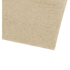 Paper Napkins Eco-Friendly 20x20cm 2C (100 Units) 