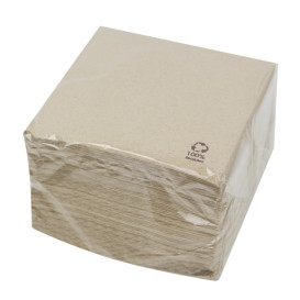 Paper Napkin Eco-Friendly 30x30cm 1 Layer (100 Units)