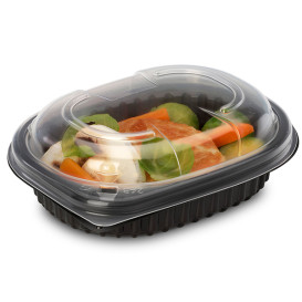 Plastic Container PP Rectangular Shape 250ml 14,2x11,1x3,1cm (640 Units)
