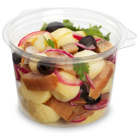 Plastic Container APET Round shape Transparente 500ml Ø12cm (40 Units) 