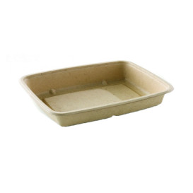 Sugarcane Container PLA 950ml 23x16,5x5cm (75 Units)  