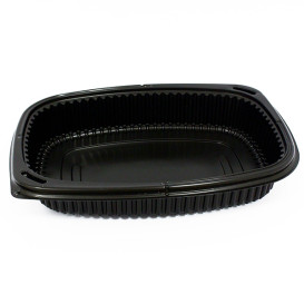 Plastic Container PP Rectangular Shape 1250ml 25,5x18,9x4,5cm (40 Units) 