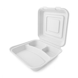Sugarcane Hinged Container "Menu Box" White 3C 24x23x7,6cm (50 Units)