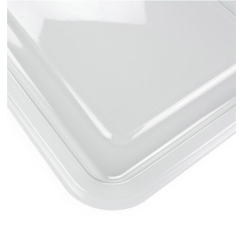 Plastic Tray RPET Transparent 46x30cm (50 Units) 