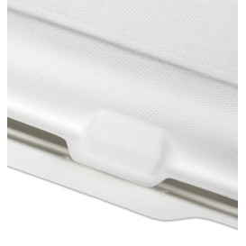 Sugarcane "MenuBox" Container 3C 38x48,3x6,15cm (50 Units) 