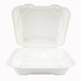 Sugarcane Hinged Container White 3C 23x15x7,5cm (50 Units)