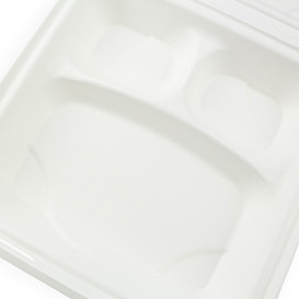 Sugarcane Hinged Container White 3C 23x15x7,5cm (50 Units)