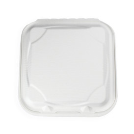 Sugarcane Hinged Container White 3C 23x15x7,5cm (200 Units)