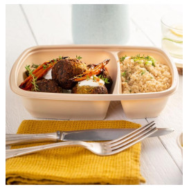 Plastic Deli Container PP 2C Cream 900ml 23x16,5x5cm (75 Units)  