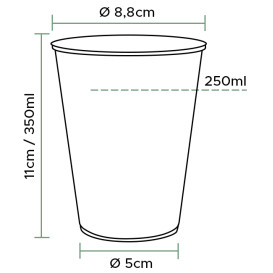 Plastic Cup PP Clear 350 ml (2000 Units)