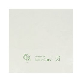 Plastic Bag Bio Home Compost 23x30,5cm (100 Units)