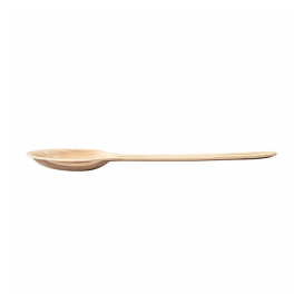 Palm Leaf Tasting Mini Spoon 17 cm (500 Units)