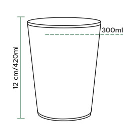 Plastic Pint Glass PS Reusable 420ml (75 Units)