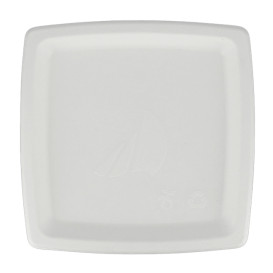 Sugarcane Plate Square shape White 17 cm (1000 Units)