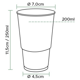 Plastic Cup PP Clear 250ml (3.000 Units)