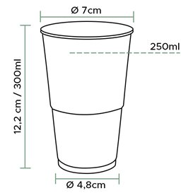 Plastic Cup PP Clear 300ml (100 Units)  