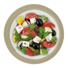 Biodegradable Bagasse Plate White Ø17,5cm (120 Units)