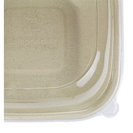 Sugarcane Container with Lid 750ml 19x19x8cm (15 Units) 