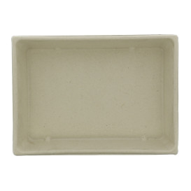 Sugarcane Tray with Lid 750ml 22x16x6cm (90 Units)