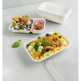 Sugarcane Tray Ecologic White 470ml 18,0x12,0x4,0cm (50 Units) 